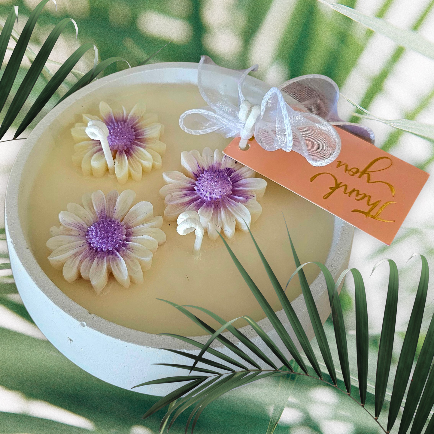 Stone Coconut Soy limited Edition 3Wick Candle