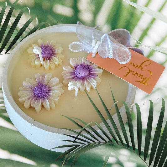 Stone Coconut Soy limited Edition 3Wick Candle
